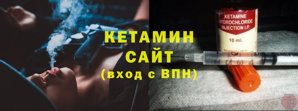 сатива Балахна