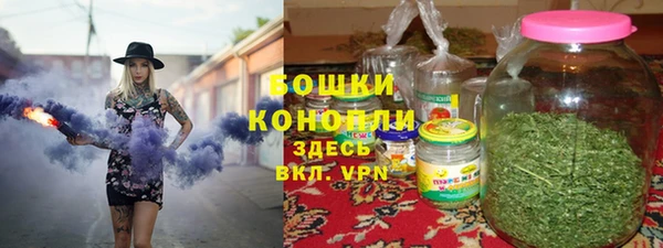 сатива Балахна