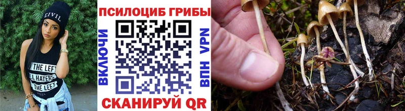 Галлюциногенные грибы Psilocybine cubensis  ОМГ ОМГ ONION  Белая Холуница 